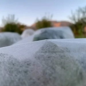 ضد حشره