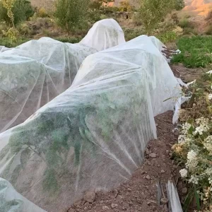 کاور ضد سرمازدگی کشاورزی