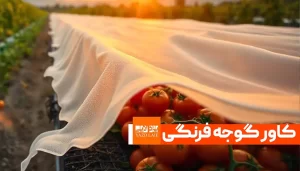 کاور ضدسرمادگی گوجه فرنگی