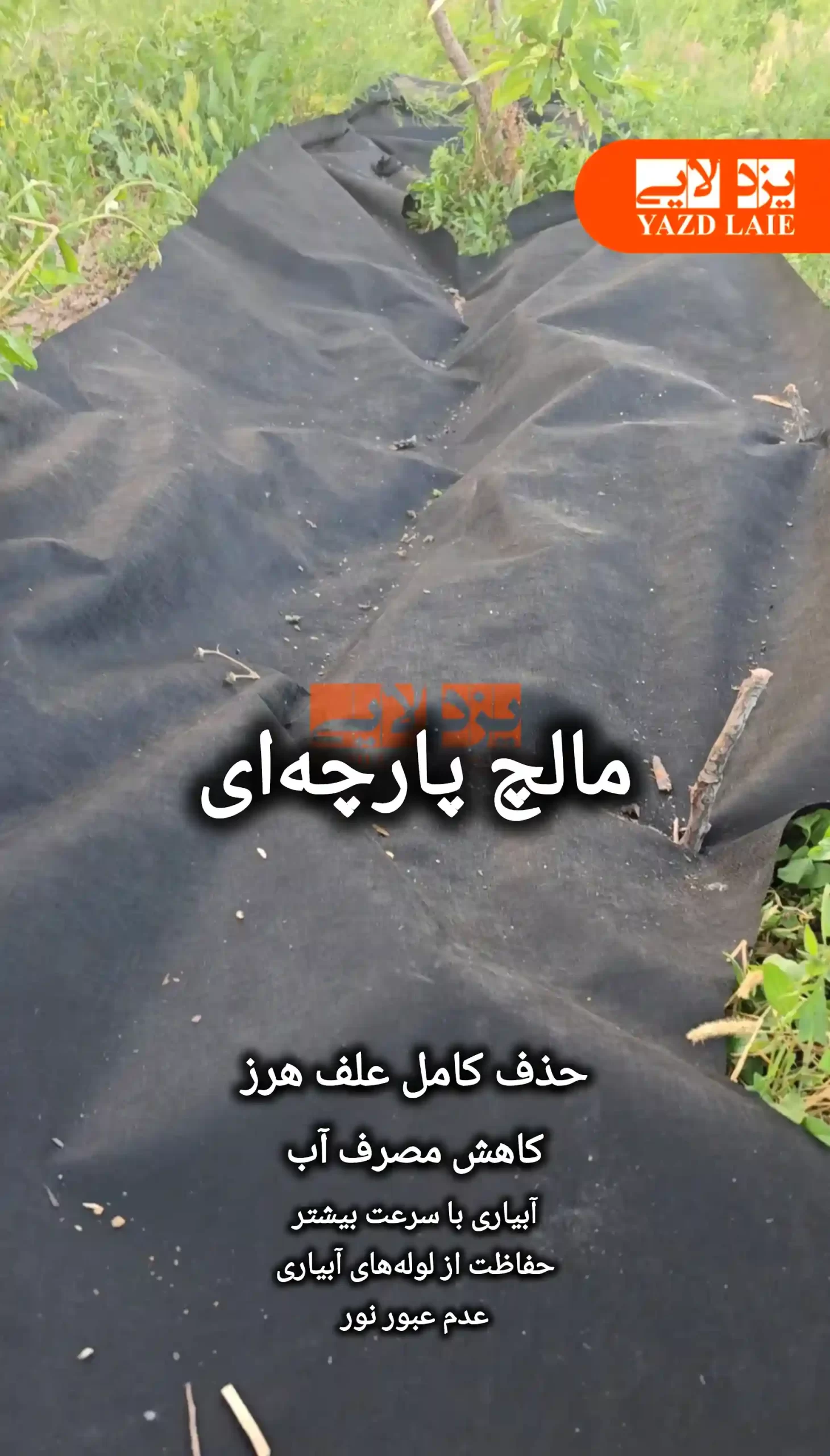 مالچ پارچه ای