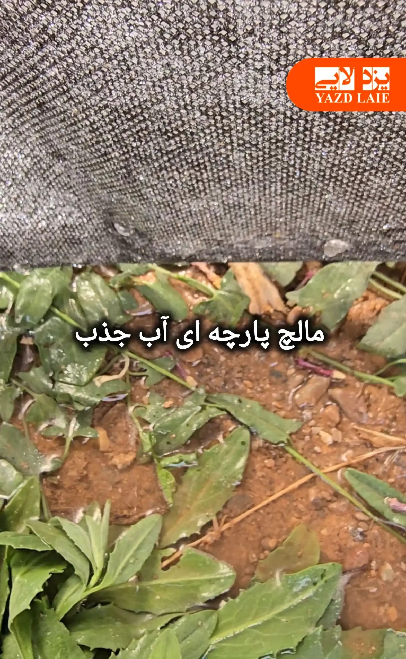 بهینه سازی مصرف آب با مالچ پارچه ای