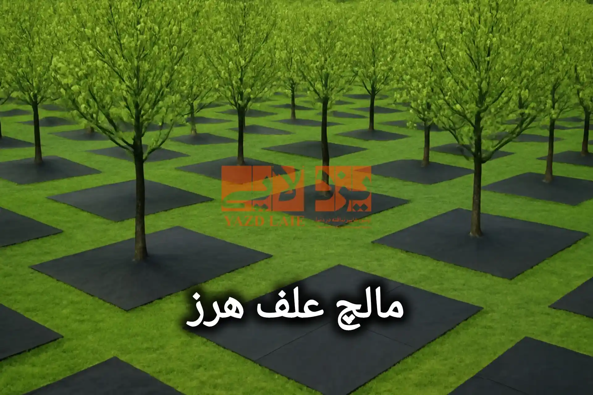 الملتش ضد الأعشاب