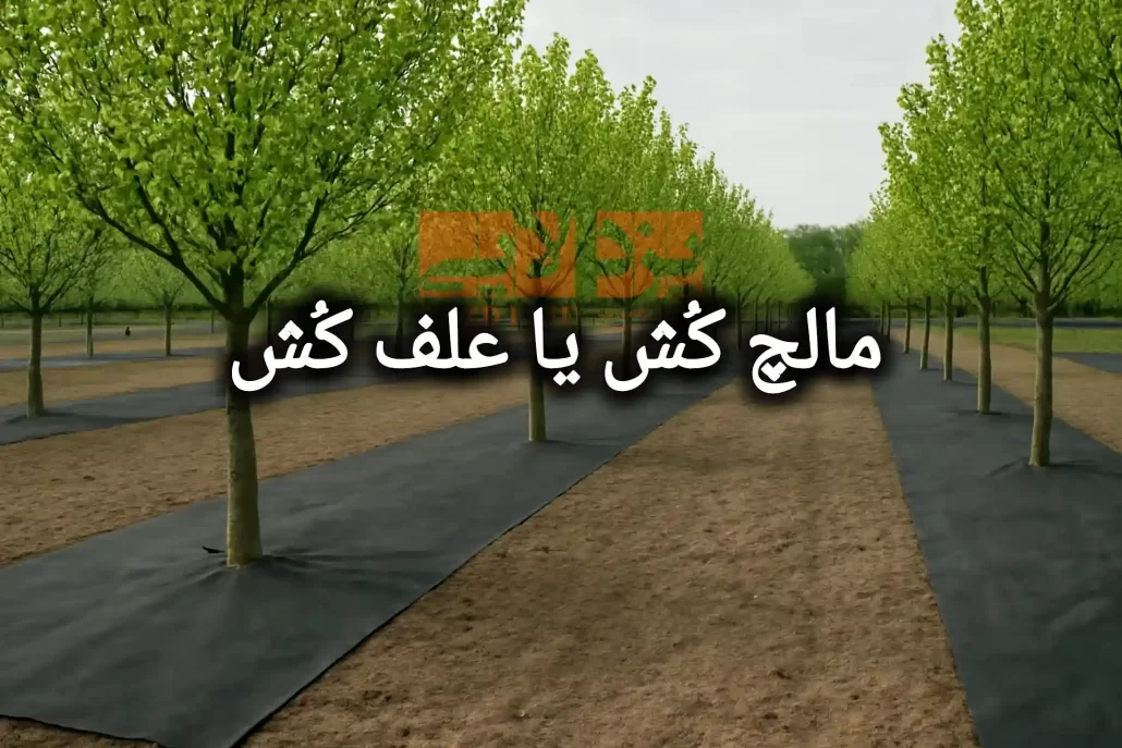 مالچ کش یا علف کش