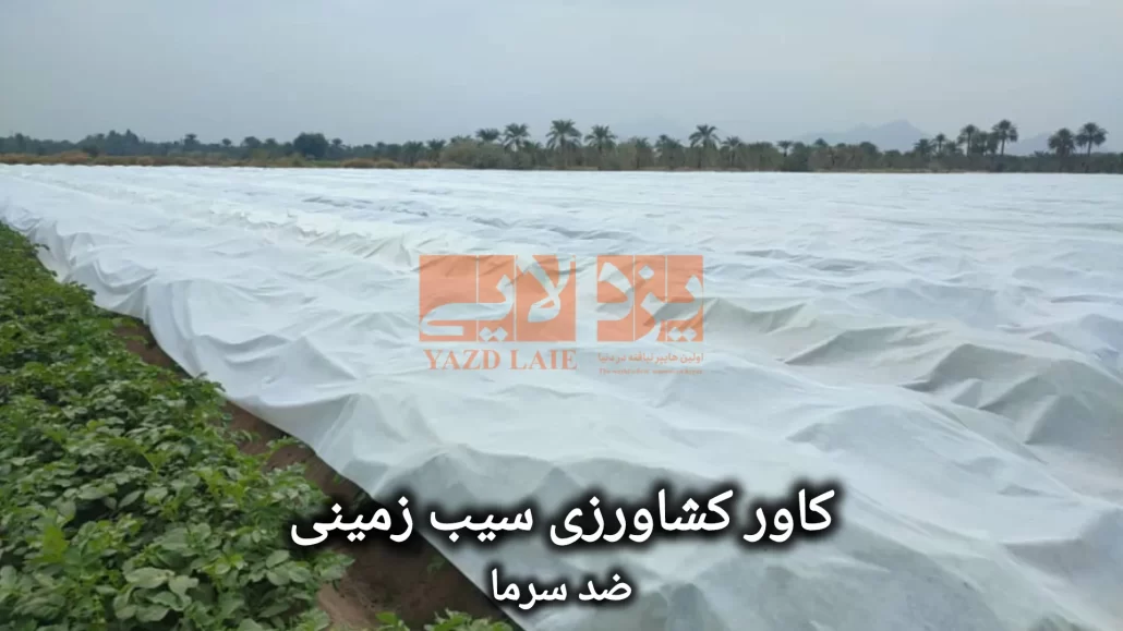 کاور ضد سرمازدگی سیب زمینی