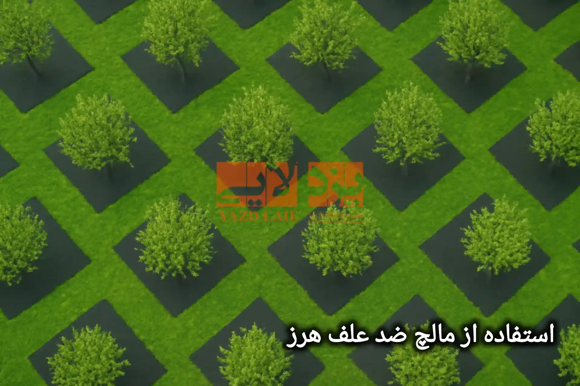 مكافحة الأعشاب