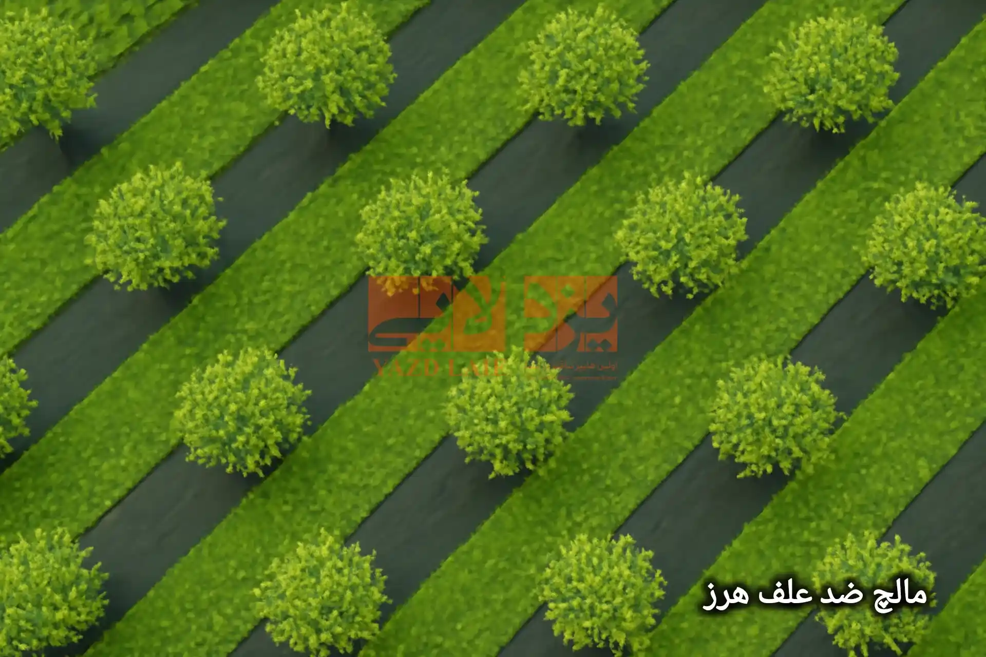 نتیجه استفاده از کاور ضد علف هرز