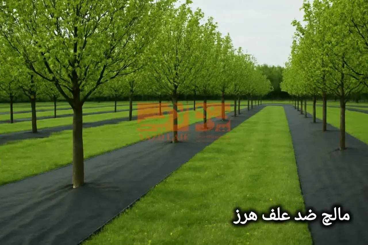 کاور علف هرز
