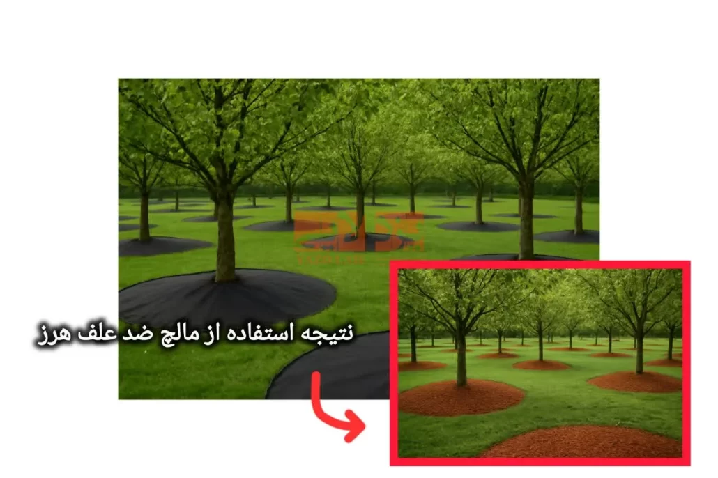 کاور ضد علف هرز